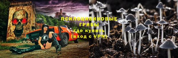 ПСИЛОЦИБИНОВЫЕ ГРИБЫ Абинск