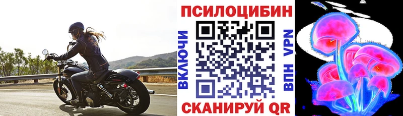 Галлюциногенные грибы мухоморы  Тогучин 